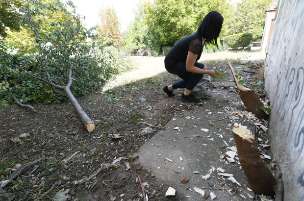 Секирама опустошили паркић!